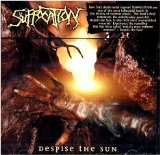 Despise The Sun