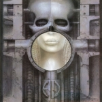 Brain Salad Surgery